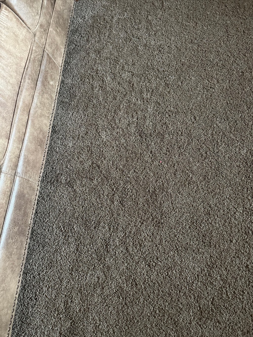 Ricks Professional Carpet Cleaning | 2522 N Spring Hollow St, Wichita, KS 67228, USA | Phone: (316) 213-1500