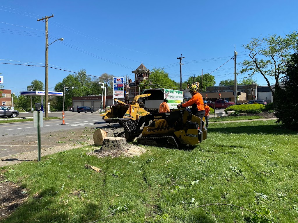 Gregory Forrest Lester Inc | 7798 Reading Rd Suite E, Cincinnati, OH 45237, USA | Phone: (513) 351-6100