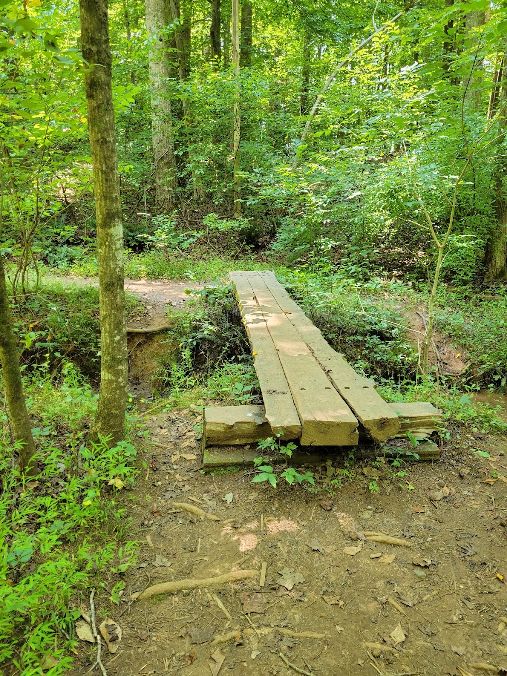 Johnston Mill Nature Preserve | 2713 Mt Sinai Rd, Chapel Hill, NC 27514 | Phone: (919) 908-8809