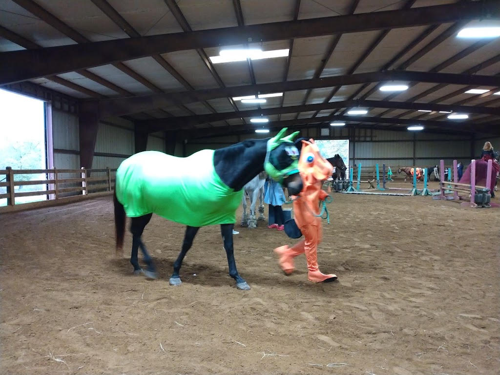 Blue Skies Riding Academy | 501 Puckett Rd SE, Emerson, GA 30137, USA | Phone: (770) 926-2003