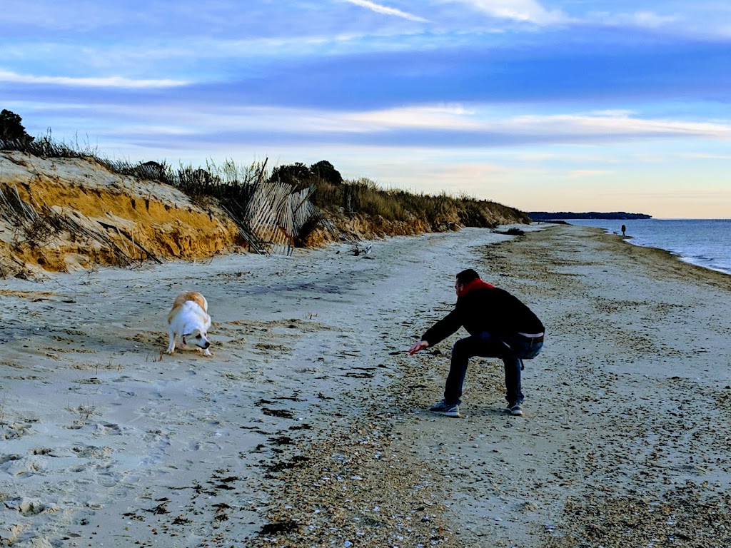 Cape Charles Natural Area Preserve | Cape Charles, VA 23310, USA | Phone: (757) 787-5576