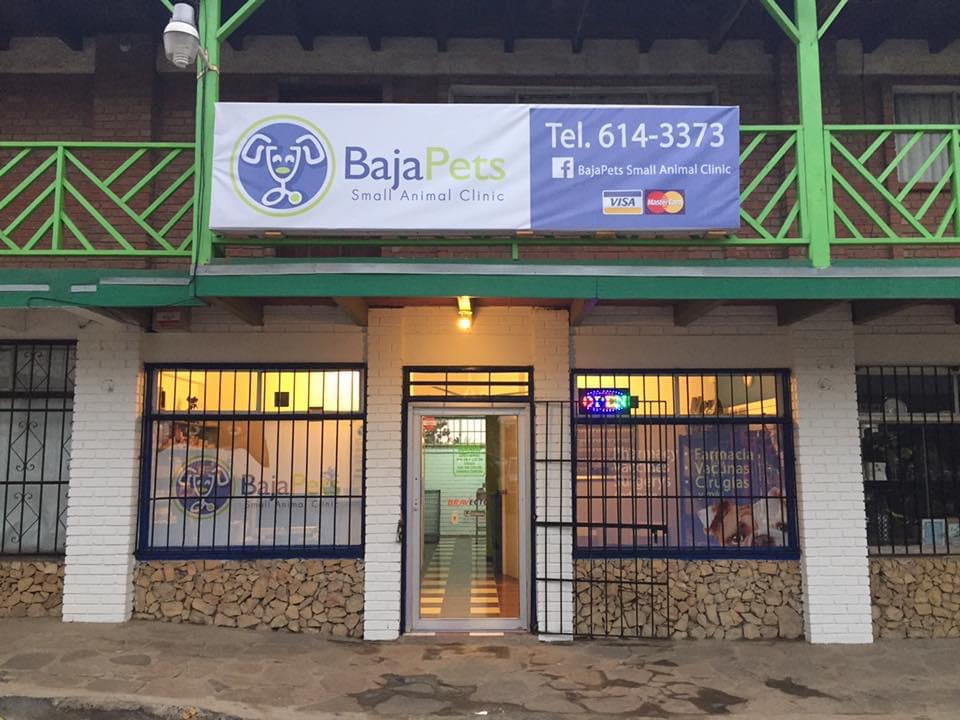 Clinica Veterinaria BajaPets Small Animal Clinic | 22710, Ladrillera Pescador, 22710 Rosarito, B.C., Mexico | Phone: 661 614 3373