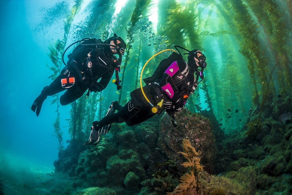 Scuba by Design | 1 Casino Way, Avalon, CA 90704, USA | Phone: (310) 510-6363