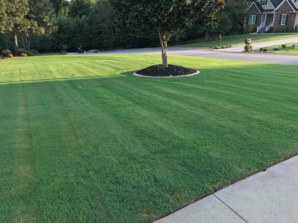 Top Turf Lawn Care and Pest Management | 866 Grayson Hwy, Lawrenceville, GA 30046, USA | Phone: (770) 513-7477