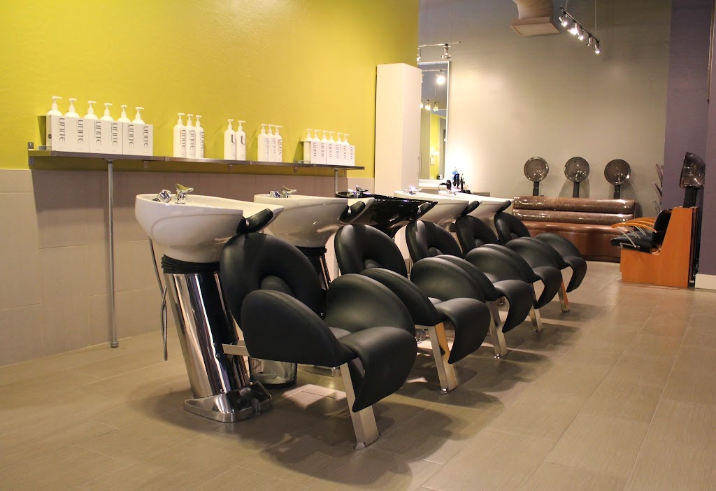 Chace Salon | 16630 W Greenway Rd, Surprise, AZ 85388 | Phone: (623) 584-6363