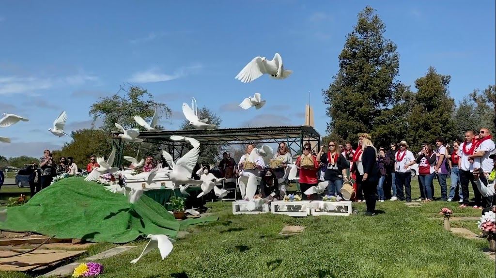 GoDoves - Professional White Dove Release | 1315 Piedmont Rd, San Jose, CA 95132, USA | Phone: (408) 622-9944