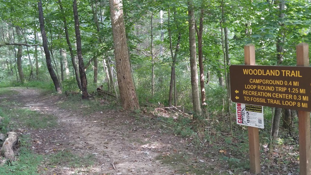 Woodland Trail, trailhead | General Butler Park Rd, Carrollton, KY 41008, USA | Phone: (502) 732-4384