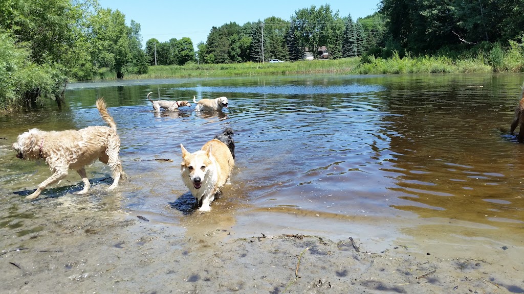 Rice Creek Off-Leash Dog Area | 5959 Lexington Ave N, Shoreview, MN 55126, USA | Phone: (651) 748-2500