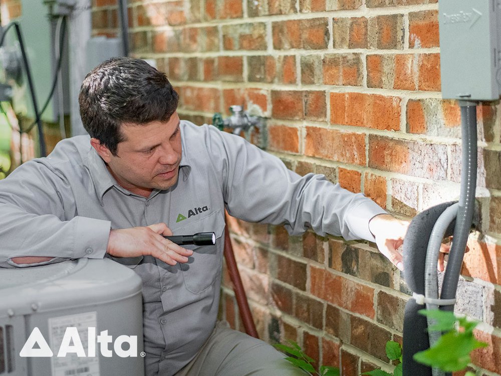 Alta Pest Control - Washington D.C | 44845 Falcon Pl Suite 101A, Sterling, VA 20166, USA | Phone: (202) 850-0925