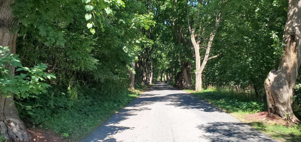 St Marys Cemetery | 39 E Main St, Fort Johnson, NY 12070, USA | Phone: (518) 842-4500