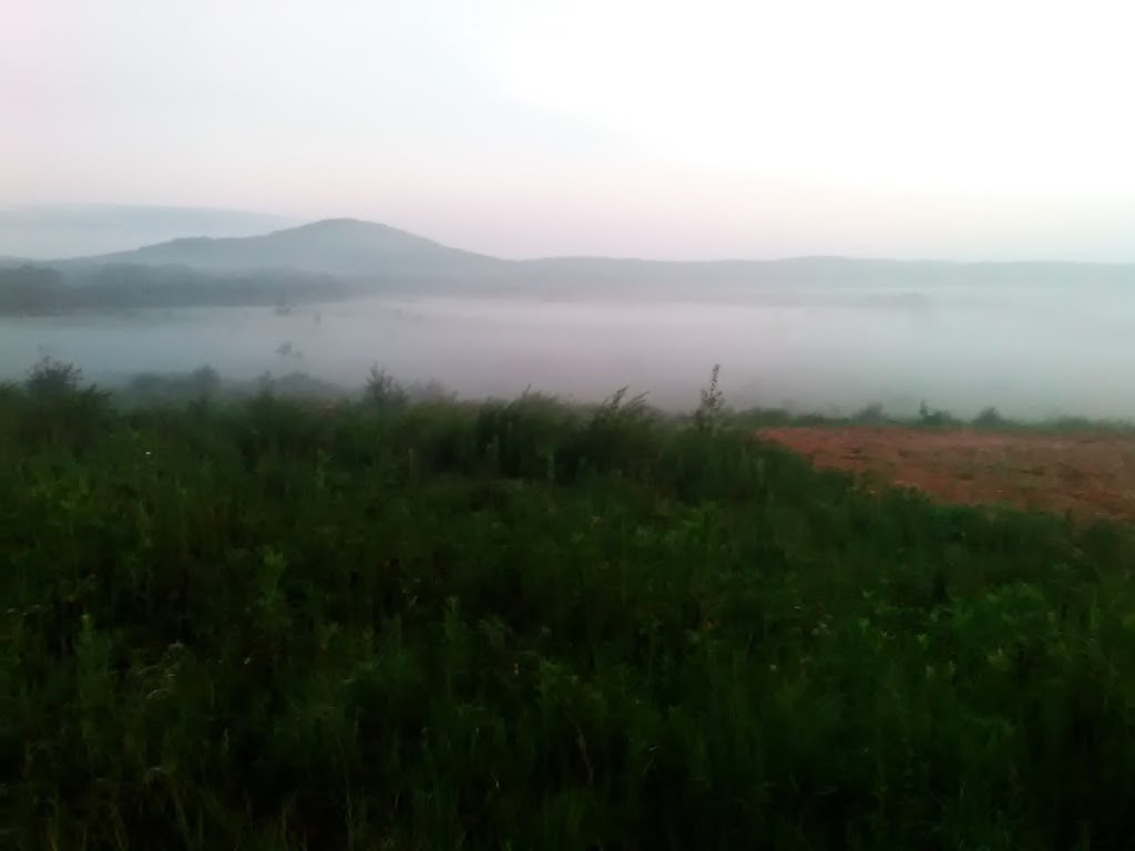 Aqua Fil | 101 Friction Dr SW, Cartersville, GA 30120, USA | Phone: (770) 387-0203