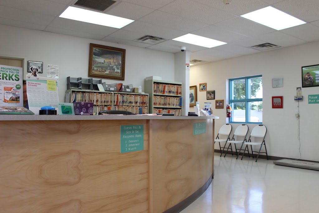 Los Lunas Animal Clinic | 575 NM-314, Los Lunas, NM 87031, USA | Phone: (505) 865-4604