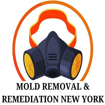 Mold Removal & Remediation New York - Bronx | 2418 Olinville Ave, The Bronx, NY 10467, United States | Phone: (929) 521-6029