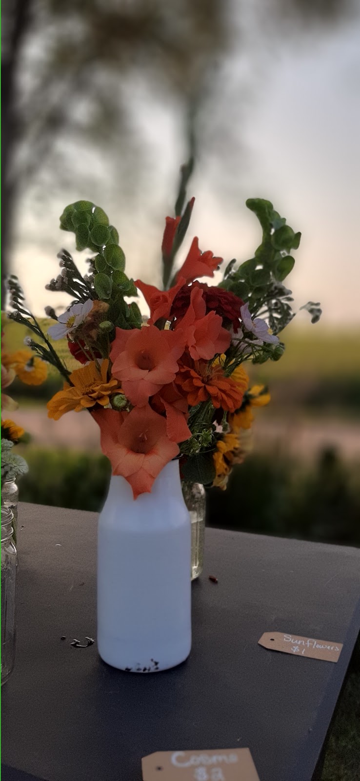 Farmhouse Blooms and Bounty | 685 County Rd A, Ashland, NE 68003, USA | Phone: (402) 312-0823