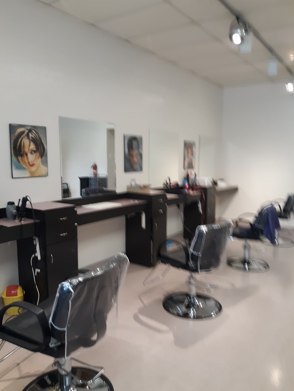 Hair Tamer | 13406 Lincoln Way, Auburn, CA 95603, USA | Phone: (530) 823-1603