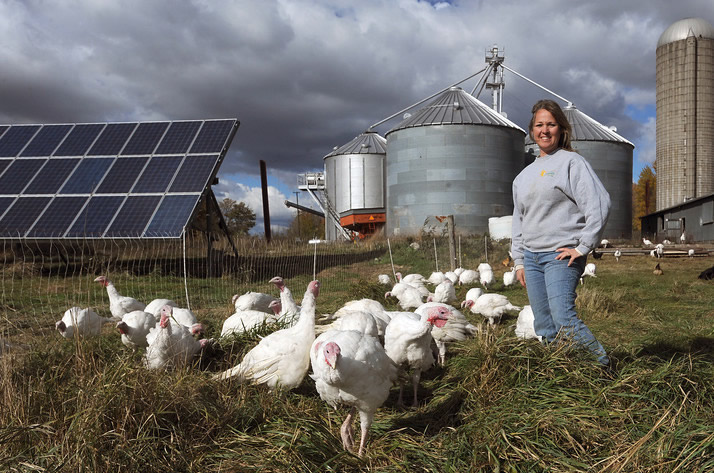 RC Organic Farms | 37400 30 Mile Rd #2022, New Haven, MI 48050, USA | Phone: (989) 550-5223