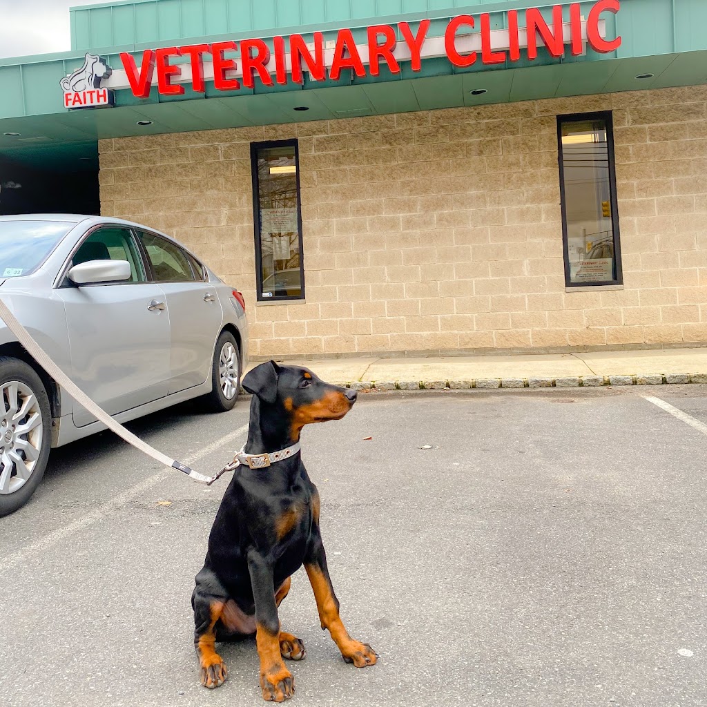 Faith Veterinary Clinic | 2202 Route 130 North, Church Lane Plaza, North Brunswick Township, NJ 08902, USA | Phone: (732) 658-6777