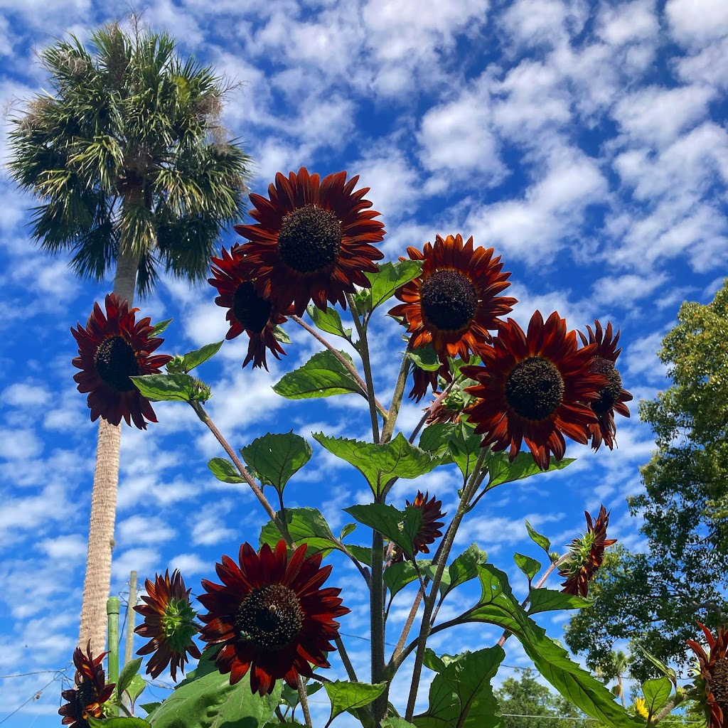 Community Garden | 802 New York Ave, St Cloud, FL 34769, USA | Phone: (407) 957-7243