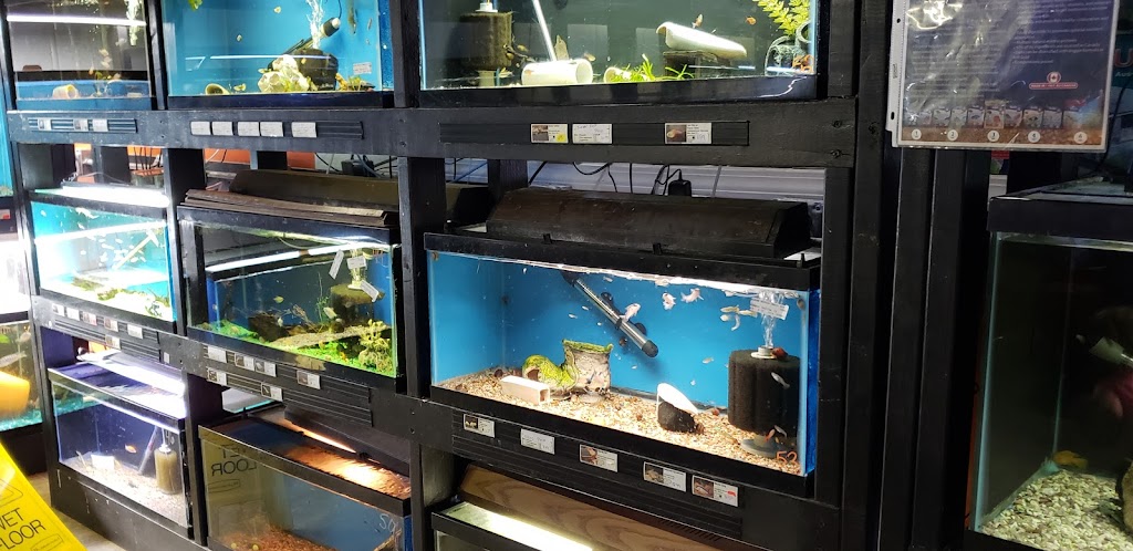Midwest Tropical Fish llc | 214 S State St, Jerseyville, IL 62052, USA | Phone: (618) 946-7408