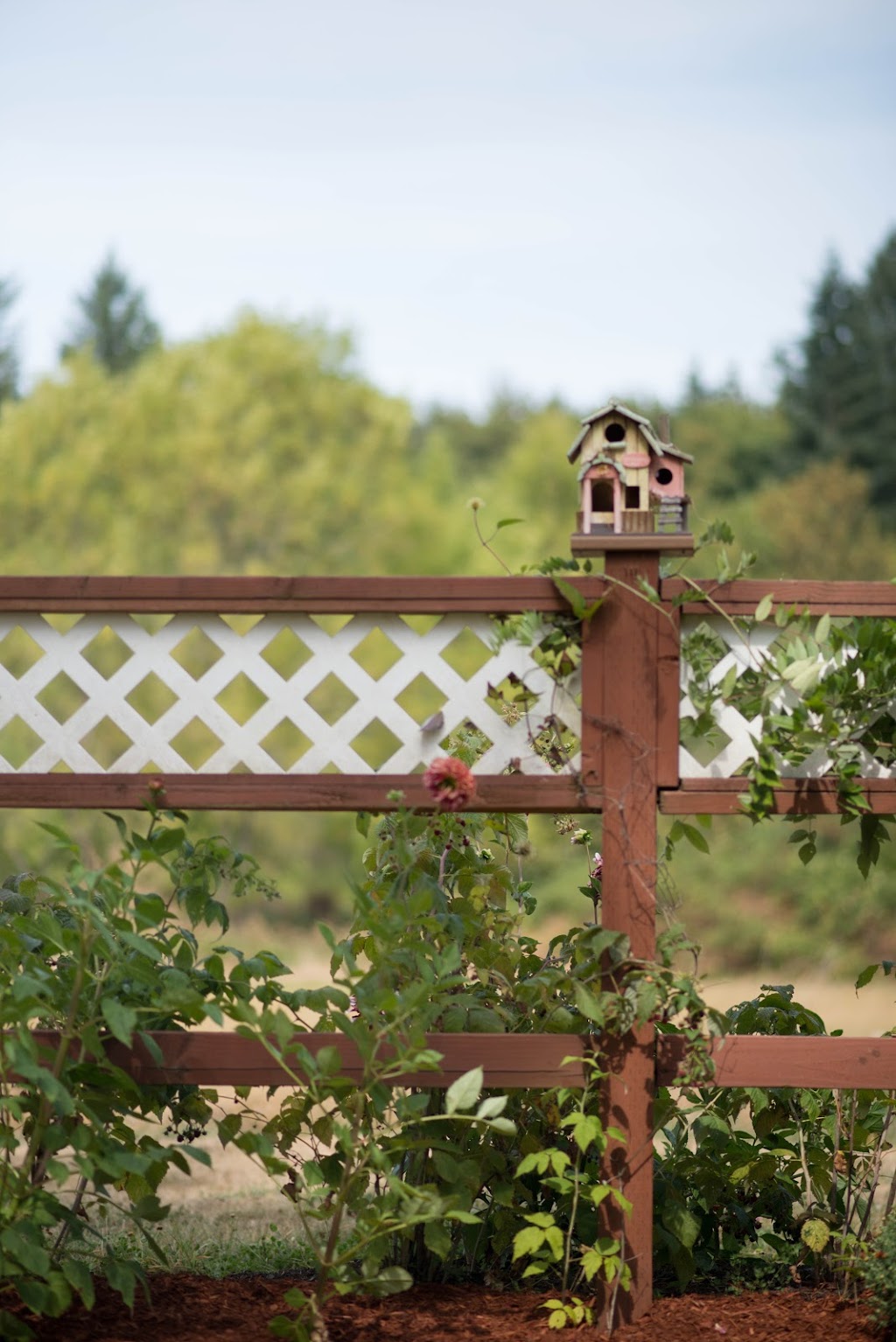 Green Meadows Care Home & A Meadow View AFH | 26500 SE 5th St, Camas, WA 98607, USA | Phone: (360) 833-2485