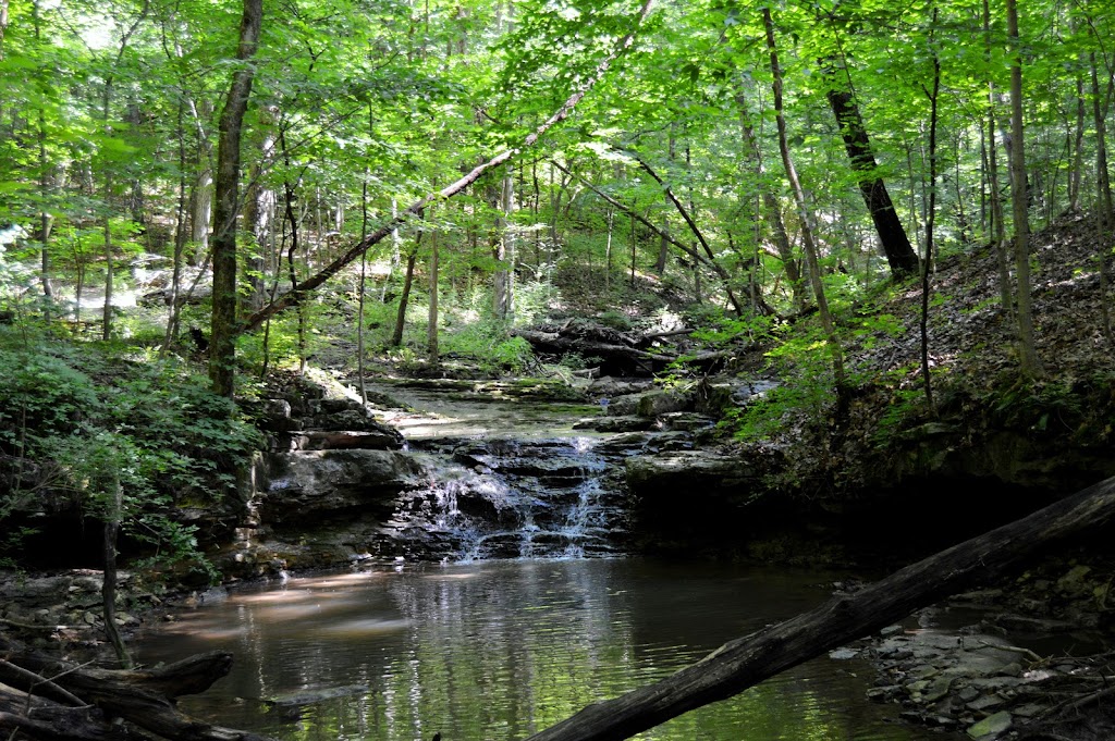 John M Olin Nature Preserve (Nature Institute) | 2213 S Levis Ln, Godfrey, IL 62035 | Phone: (618) 466-9930