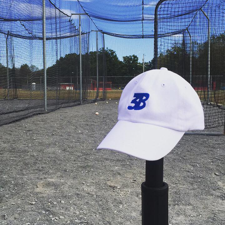 Building Block Baseball | 2040 W State St, New Castle, PA 16101, USA | Phone: (724) 714-1941