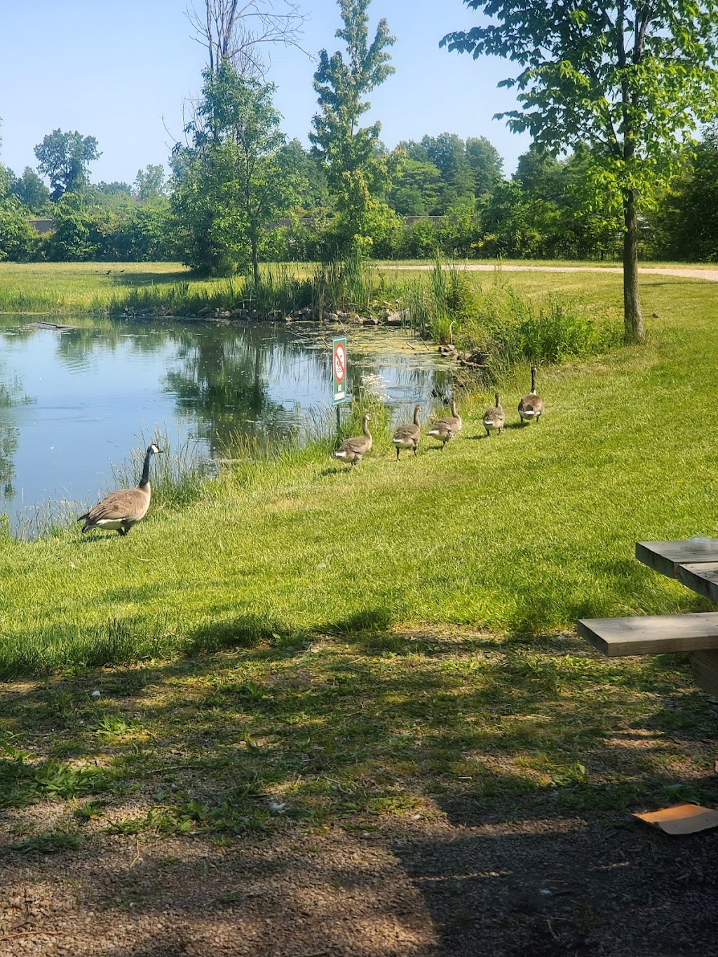 Goldeneye Campgrounds | 1030 Helendale Ln, Port Clinton, OH 43452, USA | Phone: (419) 341-3898