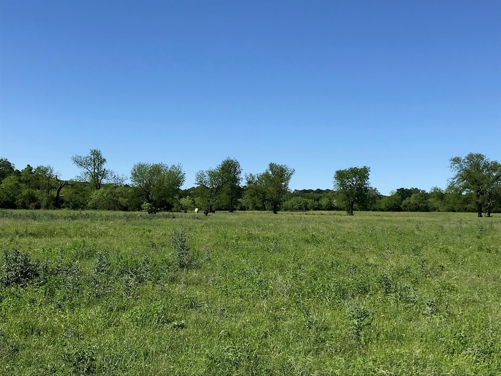 Holland Cattle Company at Holland Ranch - Grass-fed Beef and Lamb | 4400 Co Rd 340, Marble Falls, TX 78654, USA | Phone: (830) 385-2156