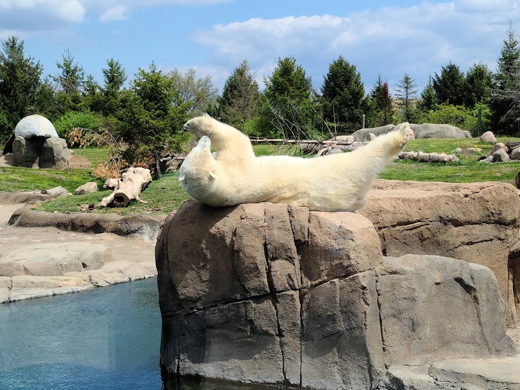 Columbus Zoo and Aquarium | 4850 W Powell Rd, Powell, OH 43065, USA | Phone: (614) 645-3400