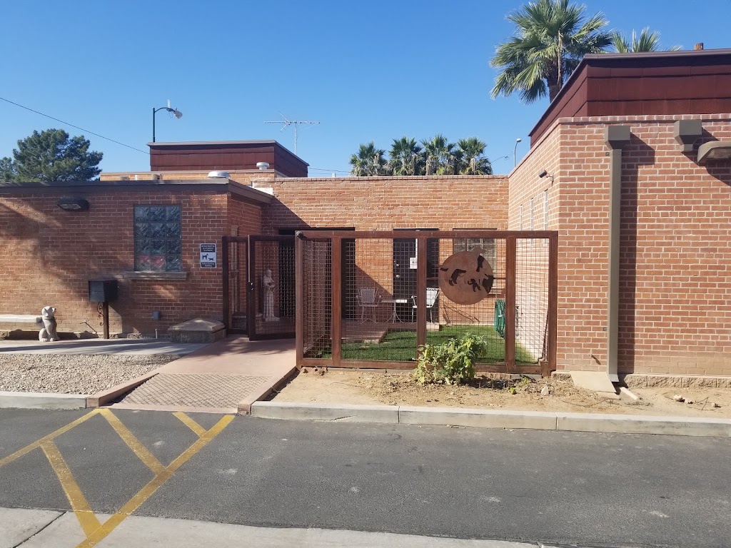 North Kenilworth Veterinary Care | 342 W McDowell Rd, Phoenix, AZ 85003, USA | Phone: (602) 374-3091