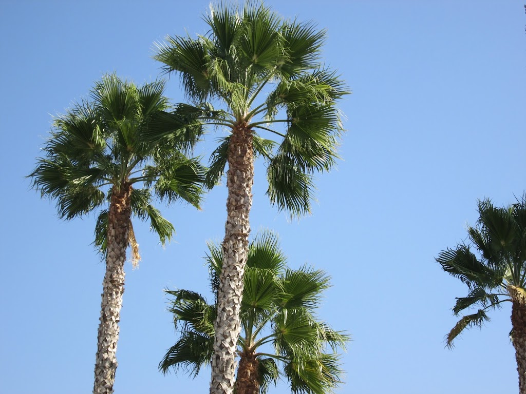 Country Squire Estates Mobile Home Park | 3418 N Waring Rd, Denair, CA 95316, USA | Phone: (209) 634-4218