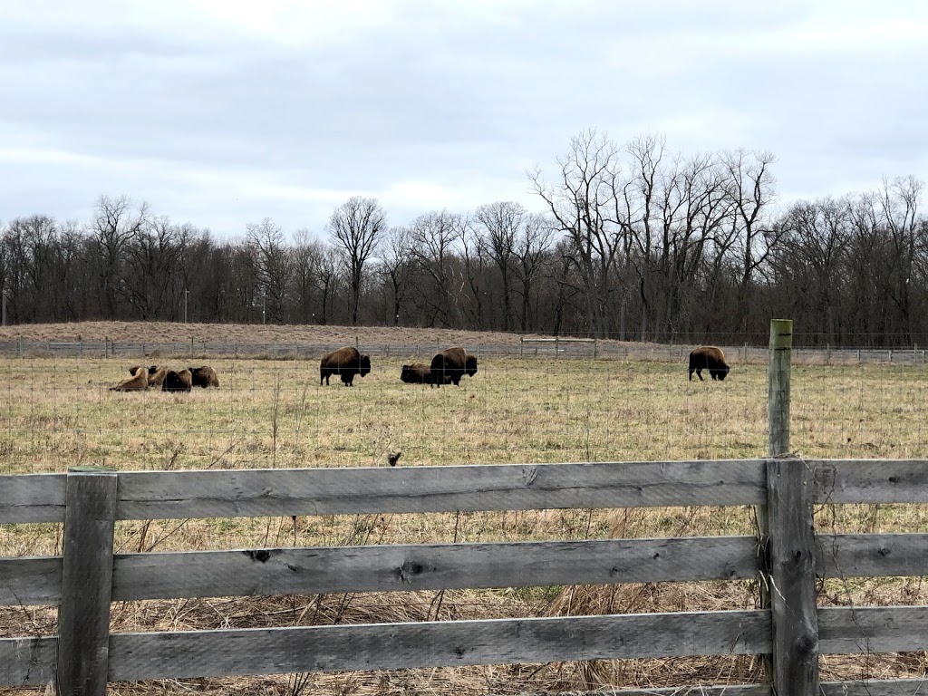 Battelle Darby Creek Metro Park Nature Center | 1415 Darby Creek Dr, Galloway, OH 43119, USA | Phone: (614) 878-7106