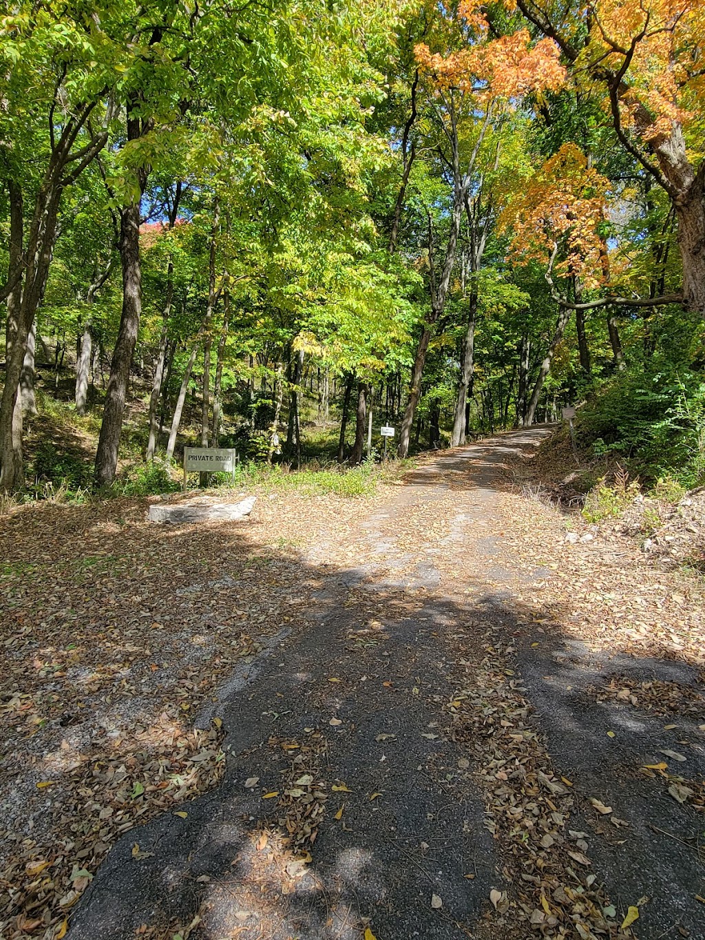 Hoffman Gardens | 4827-4819 Whitford Dr, Godfrey, IL 62035, USA | Phone: (618) 466-3324