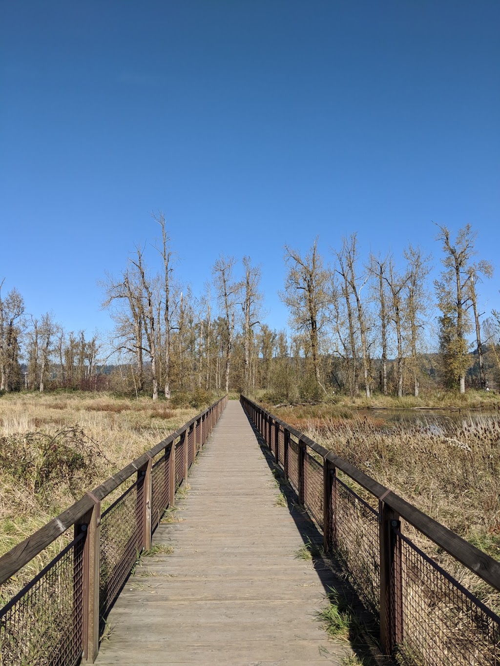 Steigerwald Lake National Wildlife Refuge Kiosk | Gibbons Creek Wildlife Art Trail, Washougal, WA 98671, USA | Phone: (580) 277-2510