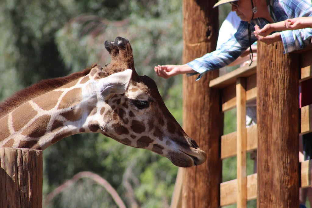 Wildlife World Zoo, Aquarium & Safari Park | 16501 W Northern Ave, Litchfield Park, AZ 85340, USA | Phone: (623) 935-9453
