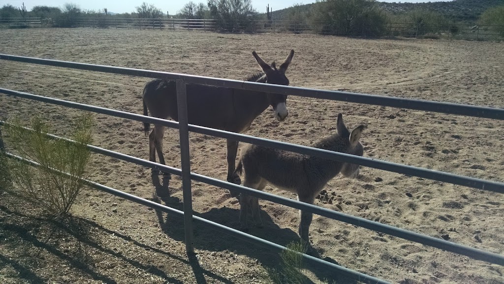 P. A. Seitts Preserve | Slate Trail, Cave Creek, AZ 85331, USA | Phone: (480) 488-6131