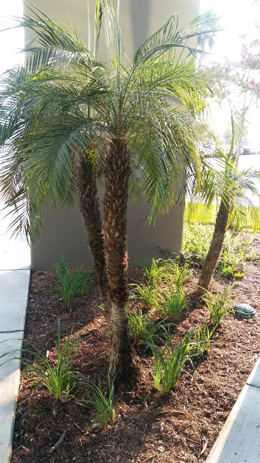 Jarrow Industries Inc | 12246 Hawkins St, Santa Fe Springs, CA 90670, USA | Phone: (562) 906-1919
