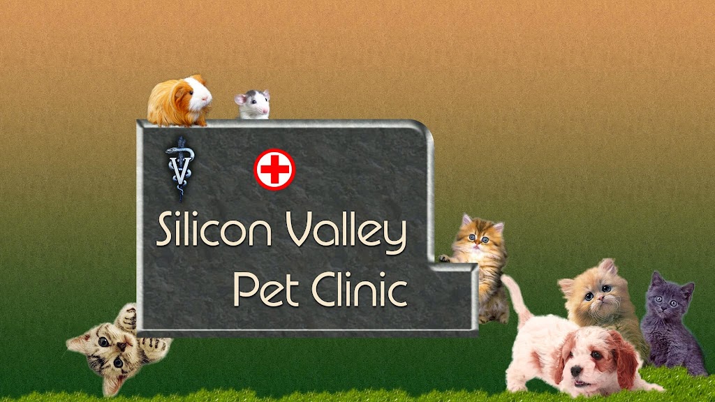 Silicon Valley Pet Clinic | 3100 El Camino Real, Santa Clara, CA 95051, USA | Phone: (408) 248-3844