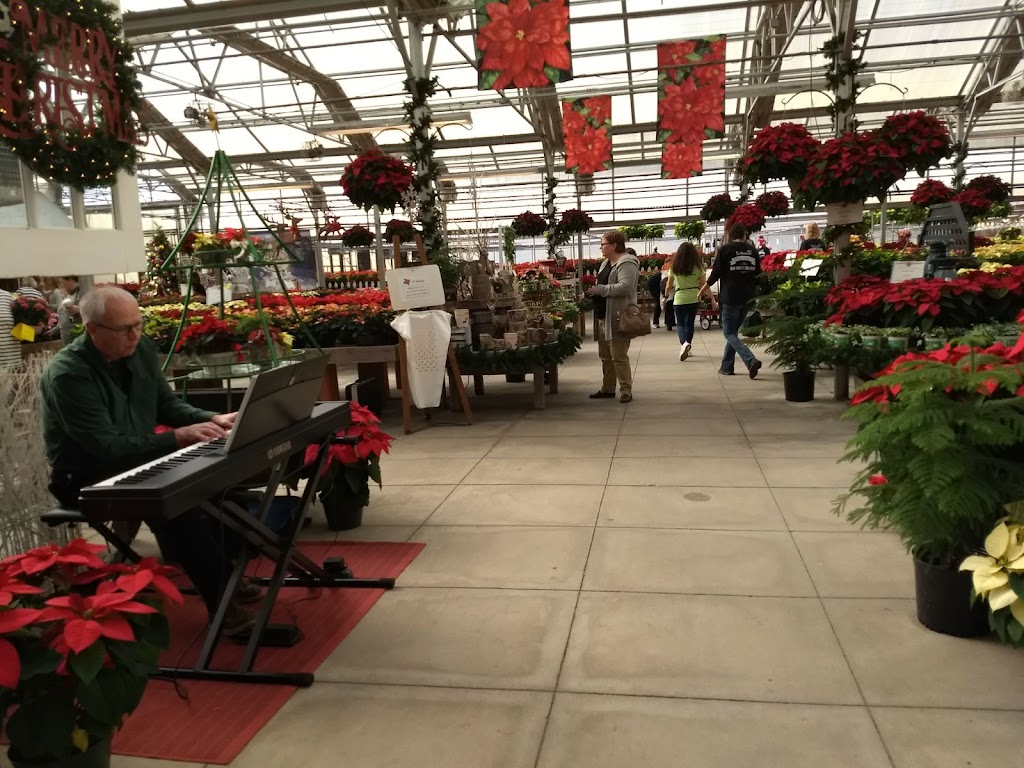 Homewood Nursery & Garden Center | 10809 Honeycutt Rd, Raleigh, NC 27614, USA | Phone: (919) 847-0117