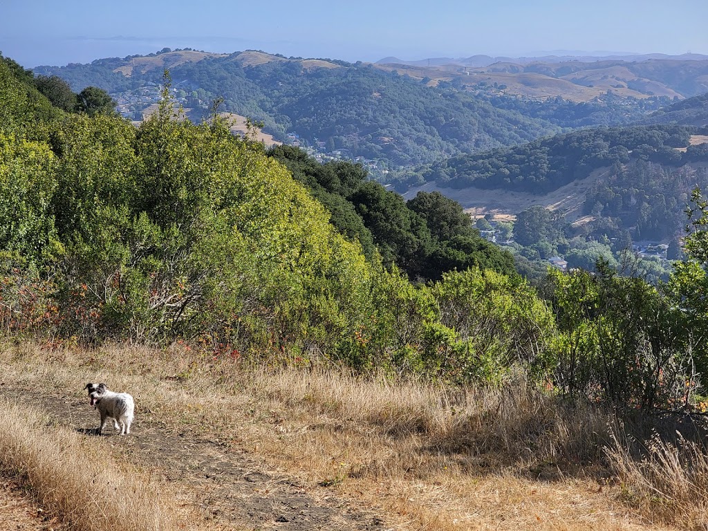 Wildcat Canyon Regional Park | 5755 McBryde Ave, Richmond, CA 94805, USA | Phone: (888) 327-2757