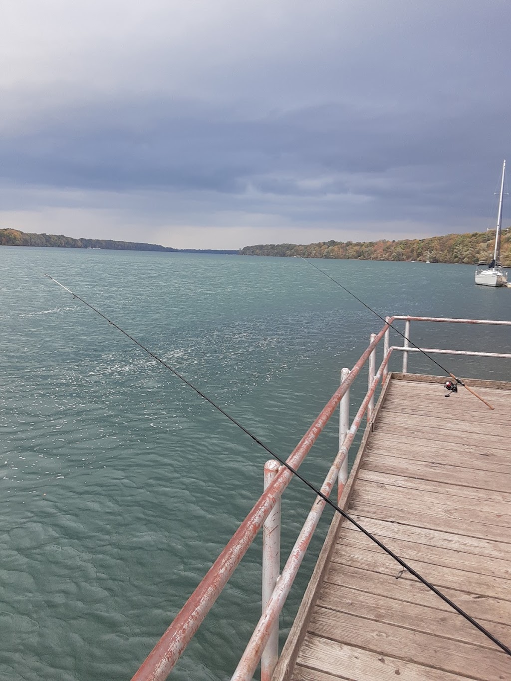 Fishing Dock - Joseph Davis State Park | 4094 Lower River Rd, Youngstown, NY 14174, USA | Phone: (716) 754-8213