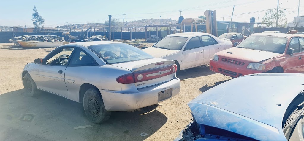 Yonke Cora | Rancho Tres Piedras, 22330 Rancho 3 Piedras, B.C., Mexico | Phone: 664 325 3358 Yonke Cora | Rancho Tres Piedras, 22330 Rancho 3 Piedras, B.C., Mexico | Phone: 664 325 3358