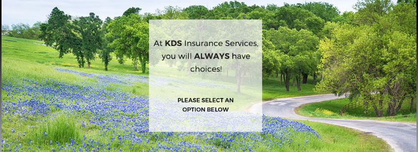 KDS Insurance Services | 25057 Tenn Oaks Rd, Hockley, TX 77447, USA | Phone: (832) 391-8271