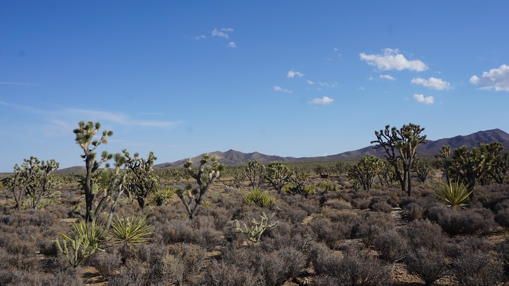 Castle Mountains National Monument | Barstow, CA 92311, USA | Phone: (760) 252-6100