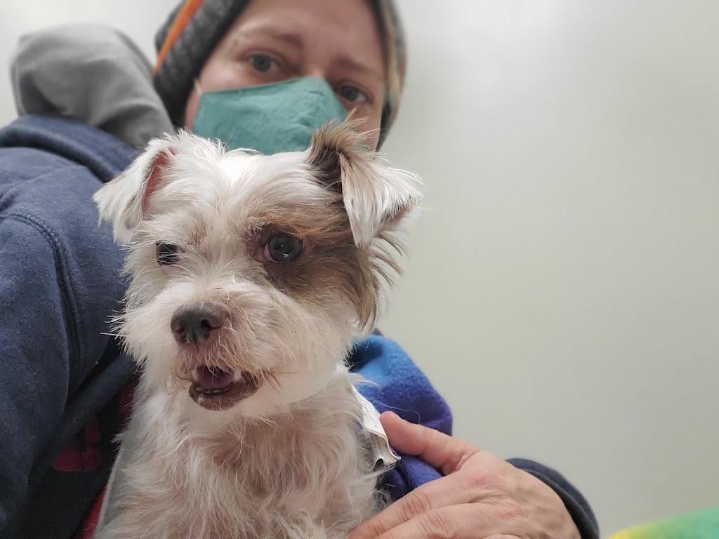 Animal Emergency Clinic | 22085 Commerce Wy, Grand Terrace, CA 92313, USA | Phone: (909) 825-9350