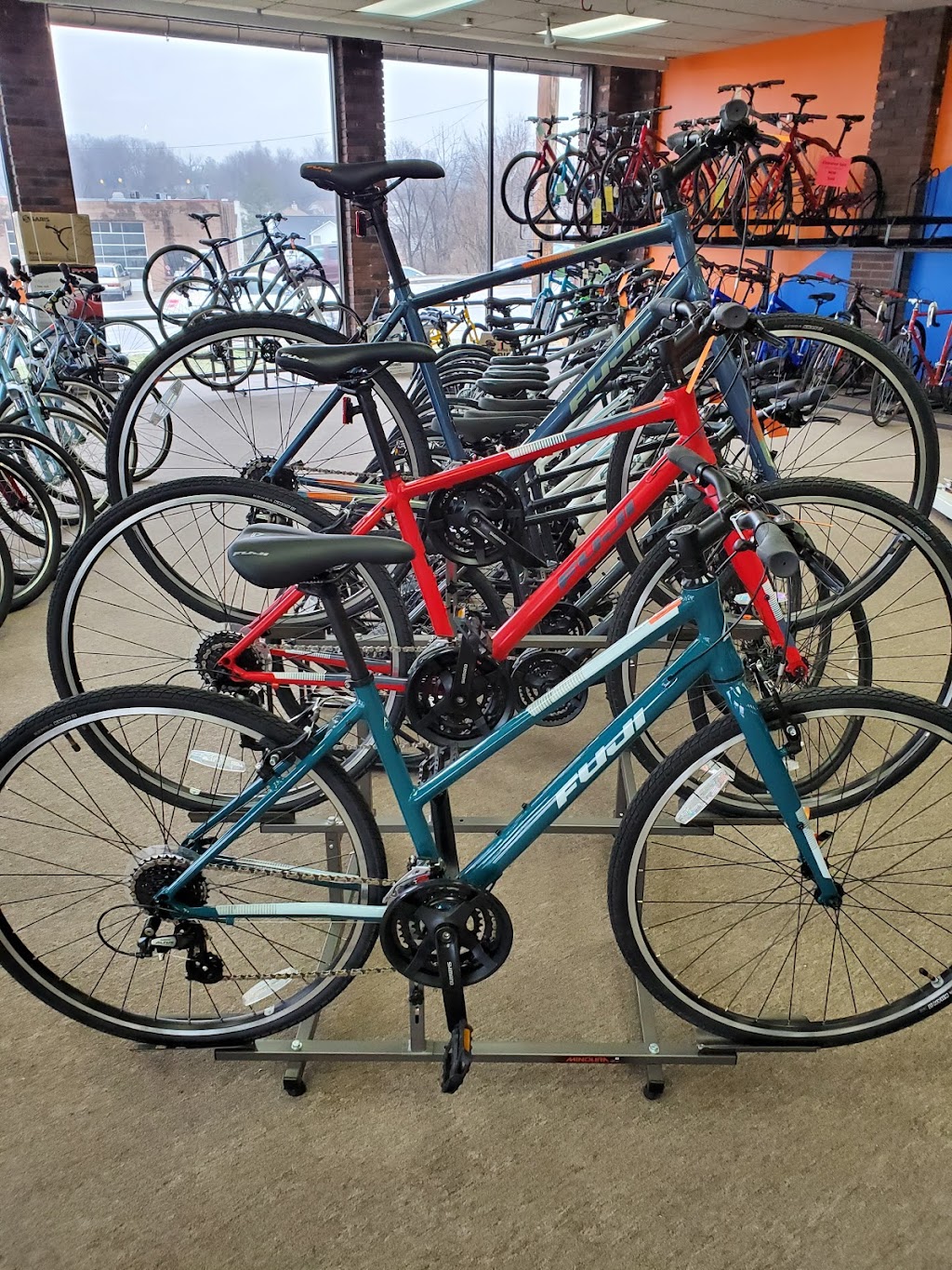 The Touring Cyclist | 11816 St Charles Rock Rd, Bridgeton, MO 63044, USA | Phone: (314) 739-5183