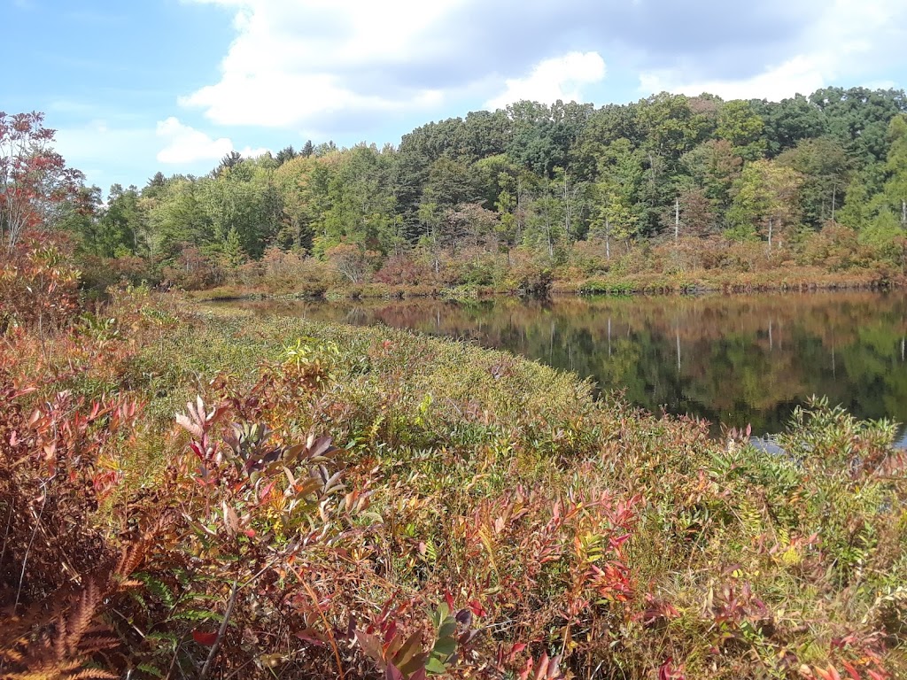 Triangle Lake Bog State Nature Preserve | Ravenna, OH 44266 | Phone: (240) 727-3330