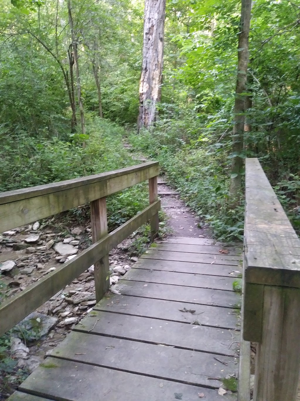 The Narrows Reserve Nature Center | 2575 Indian Ripple Rd, Xenia, OH 45385, USA | Phone: (937) 429-9590