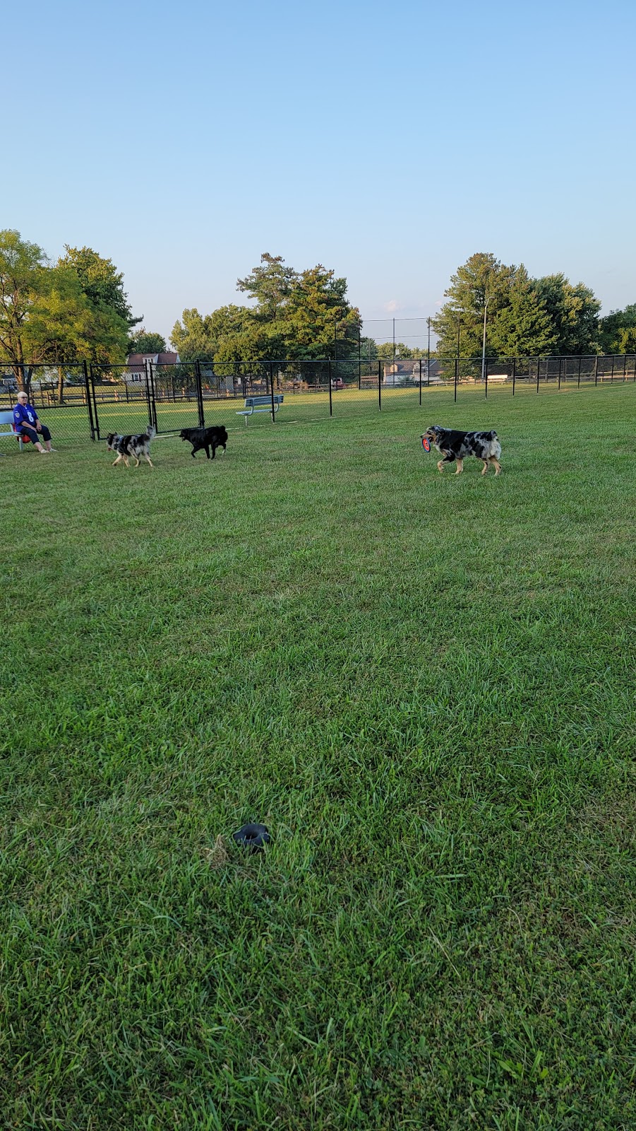 Overlook Dog Park | 100 Governors Gate Ln, Linthicum Heights, MD 21090, USA | Phone: (410) 222-7317