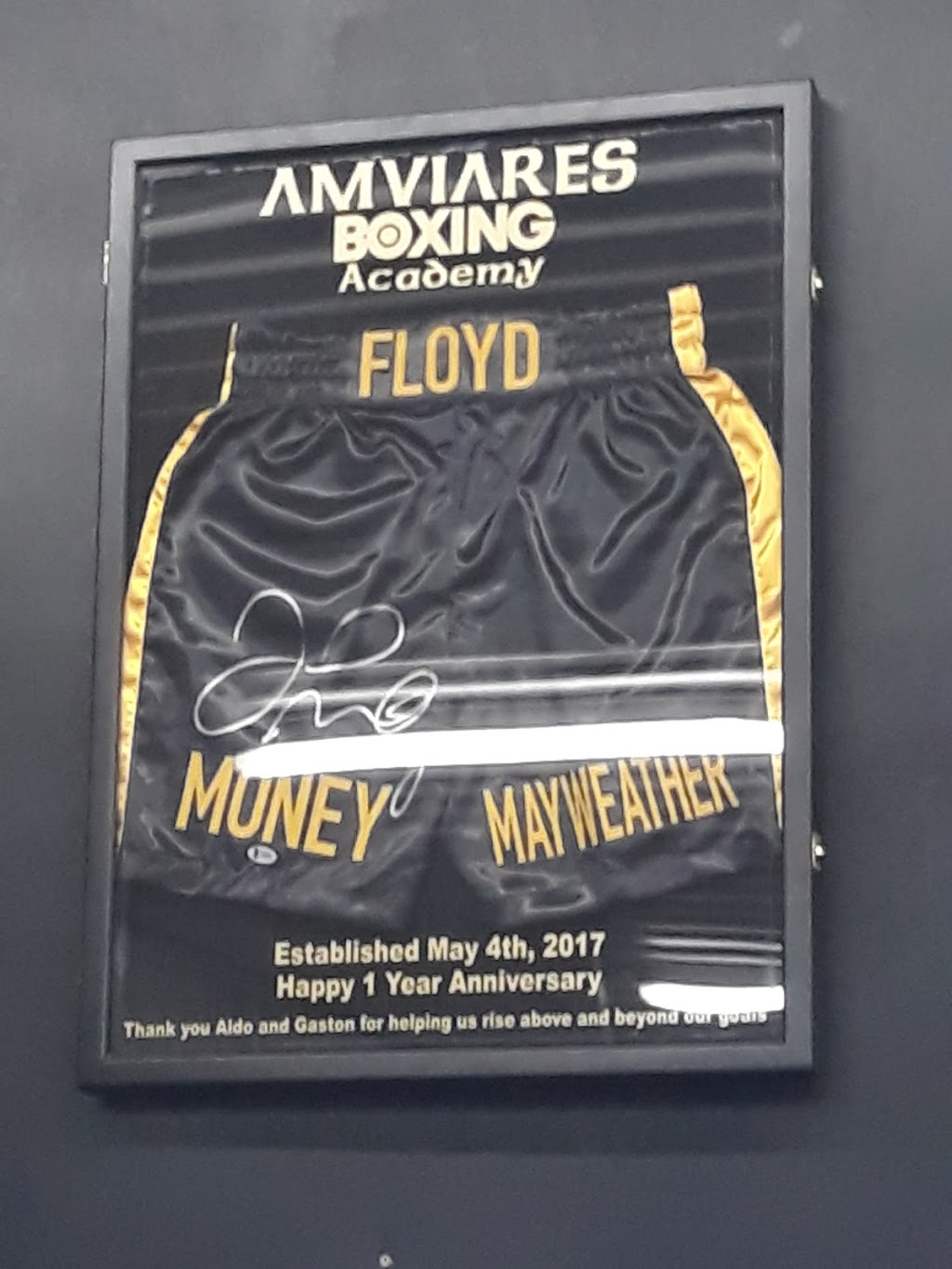 Amviares Boxing Academy | 104 Poplar St, Mt Pleasant, PA 15666 | Phone: (724) 858-0799